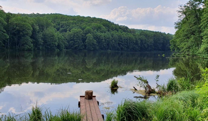 Шелеховское озеро: расположение, отдых и фото живописного водоема