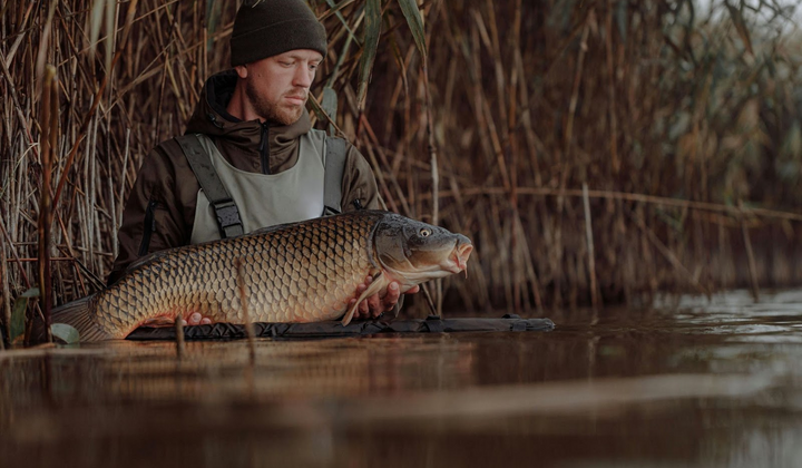 Карп на крючке: секреты удачной ловли для каждого рыбака