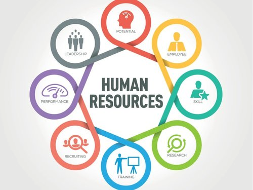 Matrix Management Structure - Features and Examples of Organizational Model