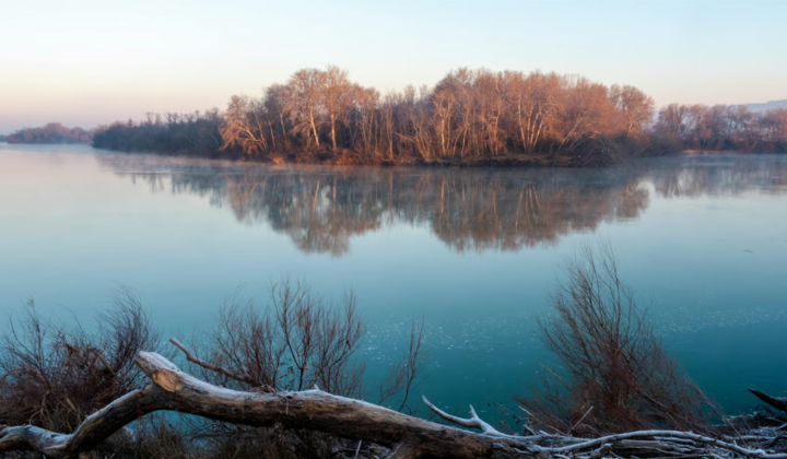 Сухостой у водоемов