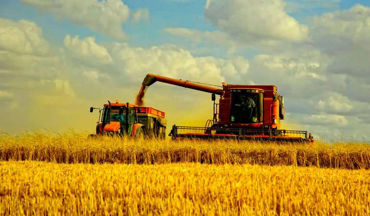 Агросектор України