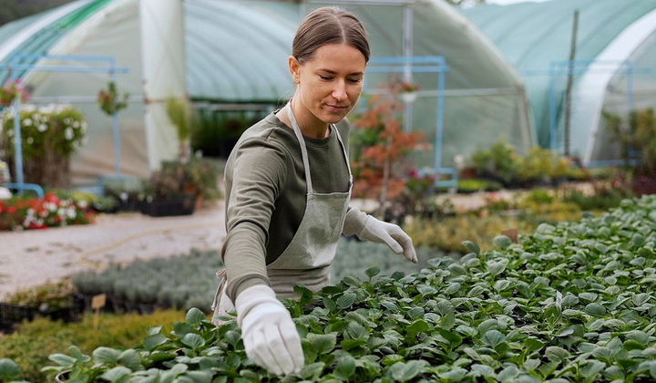 Топ-5 сайтов для поиска работы в Нидерландах