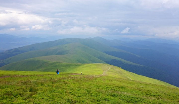 Borzhava meadow