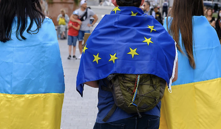 Занятость украинцев в ЕС