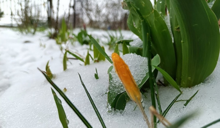 Weather in April