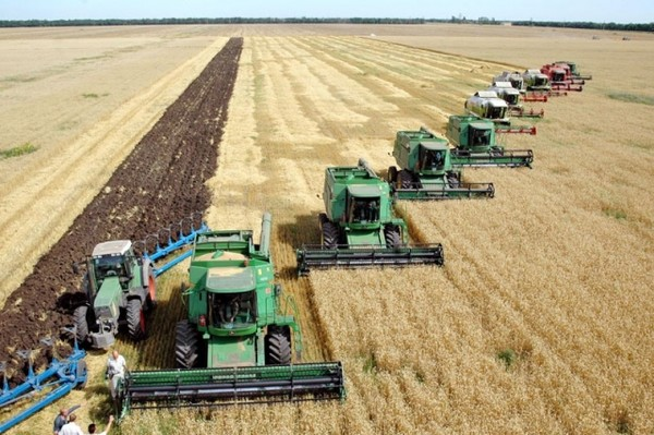Top 5 agricultural holdings of Ukraine