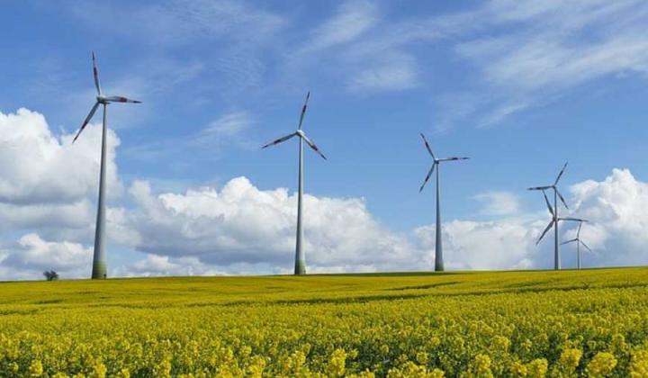 wind farm