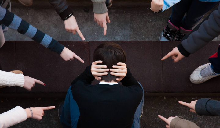 Responsibility for Bullying: Administrative and Criminal, as Provided by Law