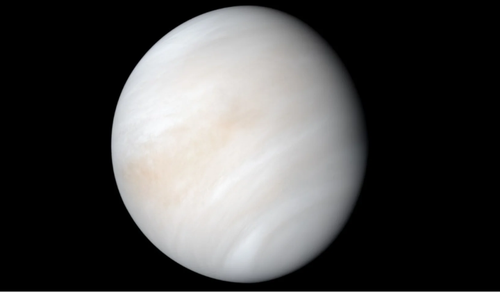 Oceans covering 90% of Venus surface