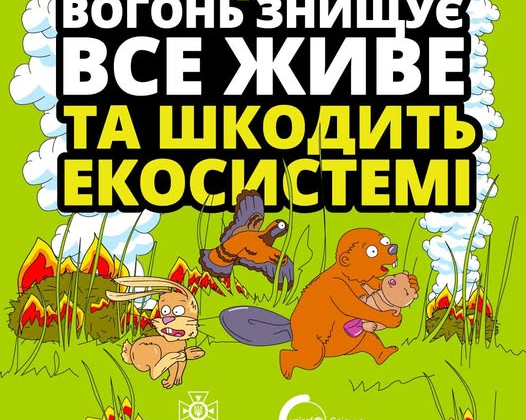 Випалювання трави на українських полях