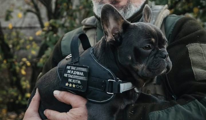Ambulance driver saved puppy in Donbass