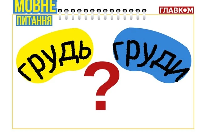 Груди - единственное число: разбор по словарю