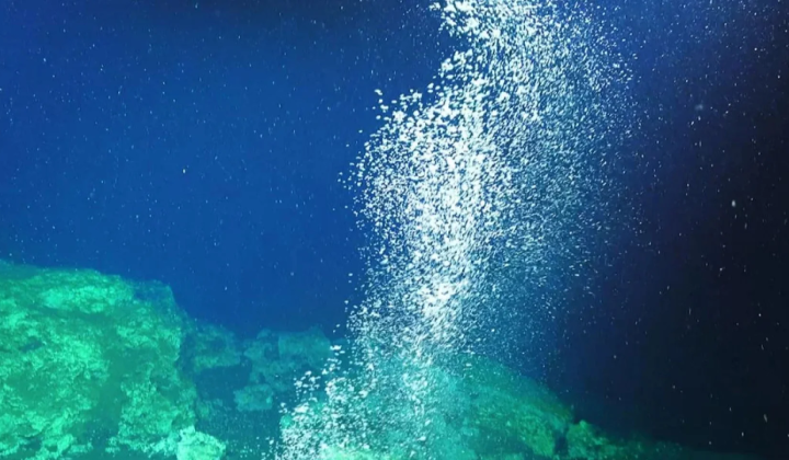 Natural recovery of ecosystem in Chinese sea
