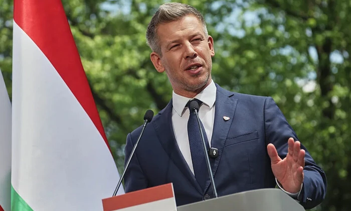 Зустріч Мадяра і Зеленського в Угорщині