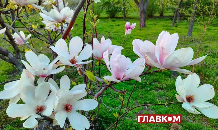Украина под снегом и морозами