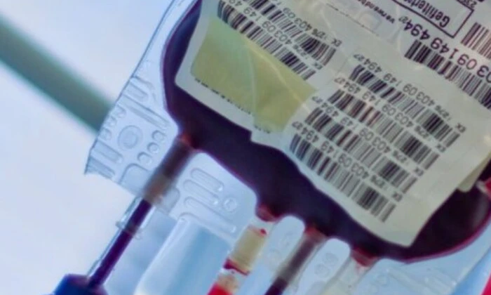 Науковці працюють над виробництвом штучної крові