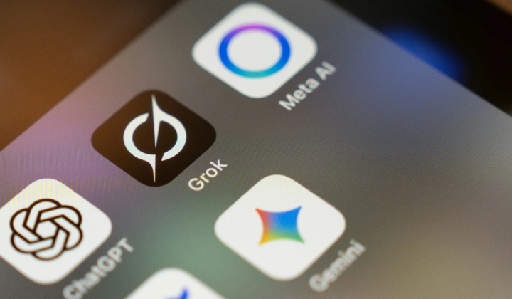 Google restricted the use of SHI models in Gemini