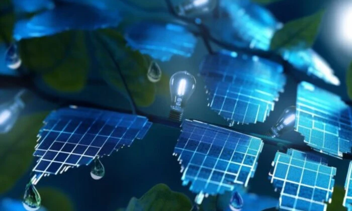 Процесс фотосинтеза открыт – научный прорыв