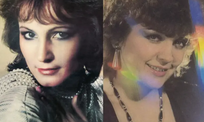 Ірина Білик, співачка, кар'єра, поет, пісні, Ротару