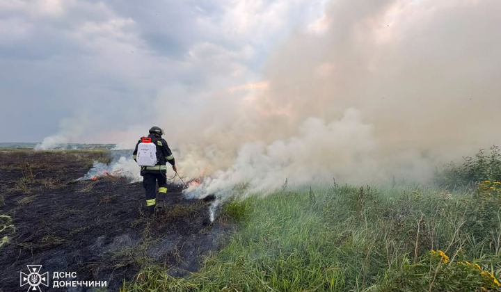 Пожежники гасять палаючий сухостій