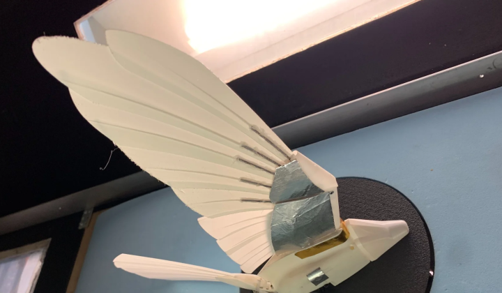 Birds suggest scientists how to improve drones