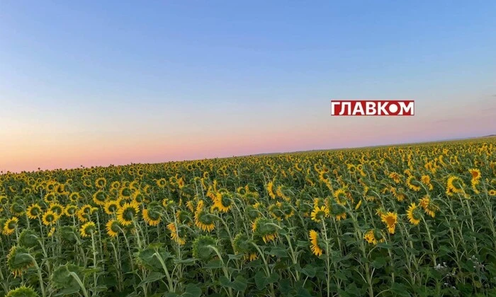 Сонячна погода без опадів