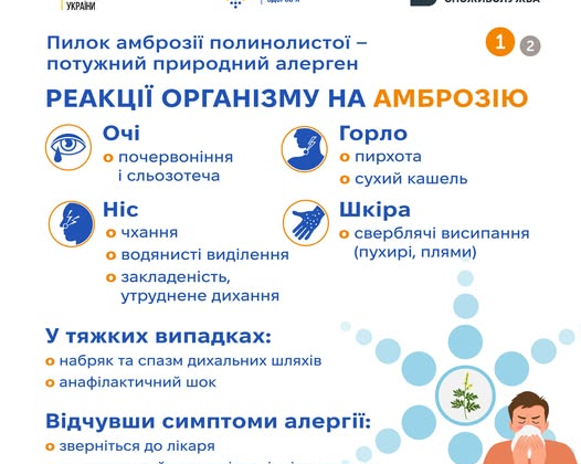 Цвітіння амброзії у сезон алергії
