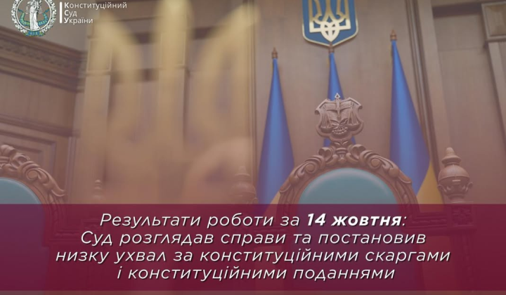 Constitutional Court reviews complaints and conducts proceedings