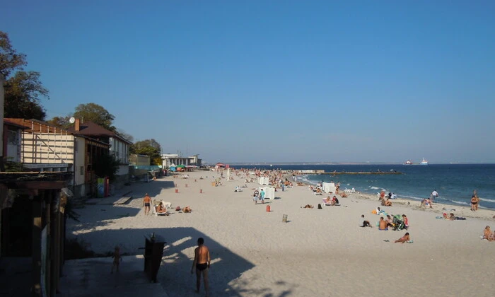 Трактори прибирають водорості на пляжі