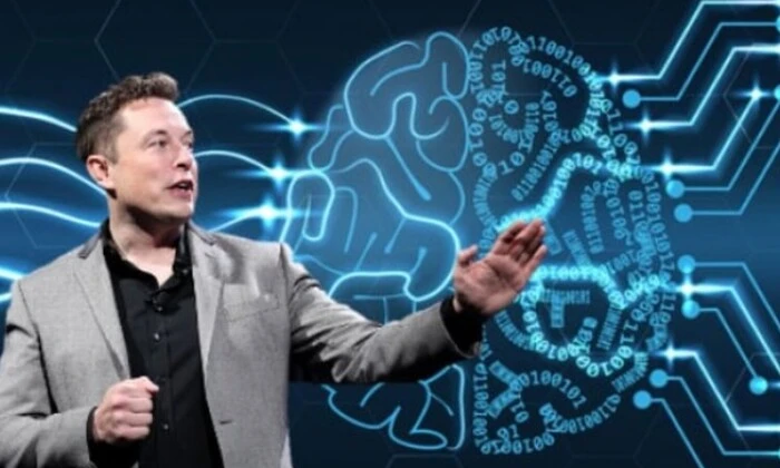 Интеллект существа против искусственного интеллекта