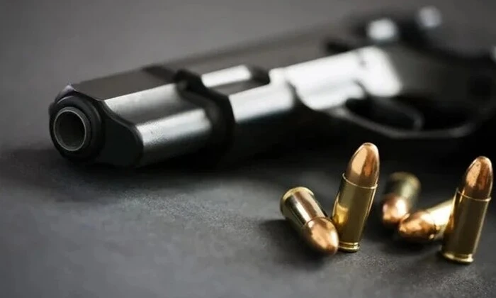 Задекларовано 11 тисяч вогнепальної зброї