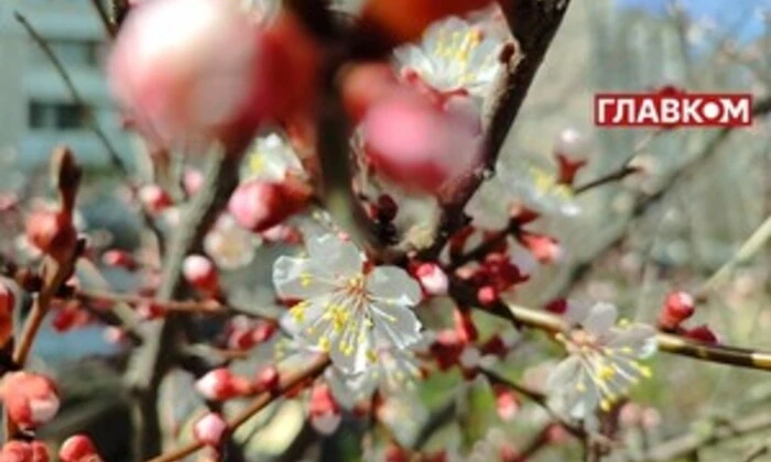 Хмарна погода з просвітаннями