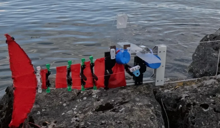 Bionic fish robot ScaFi undergoing testing