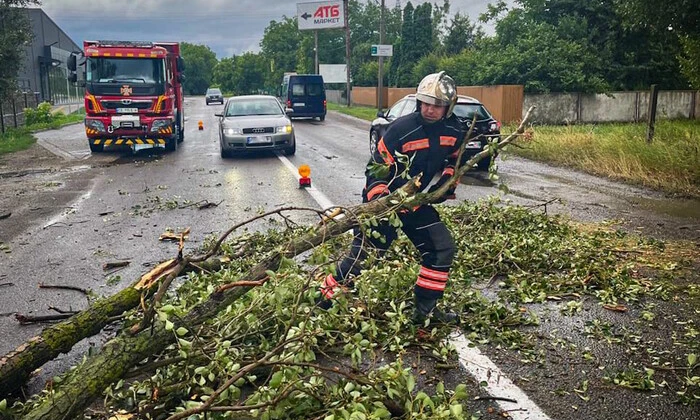 Буковину накрила негода: розмиті дороги, повалені дерева та затоплені підвали
