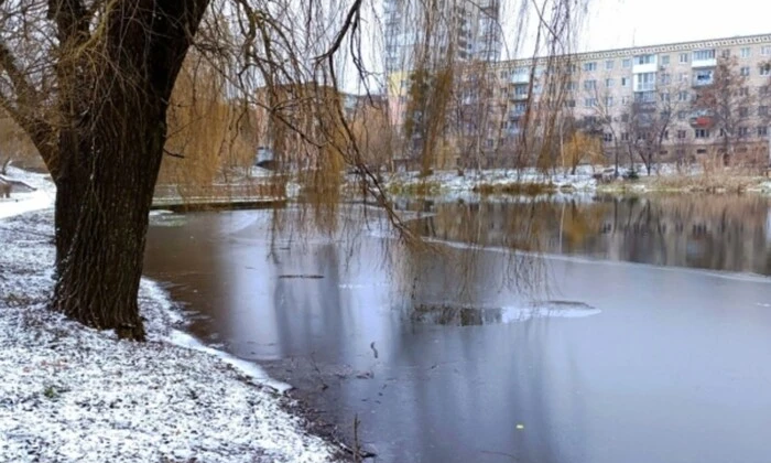 Схематичне зображення тиску і опадів в Україні
