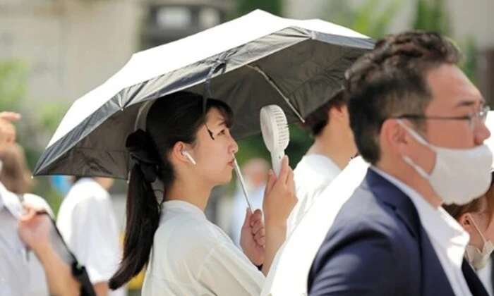 Штраф за спеку в Японії