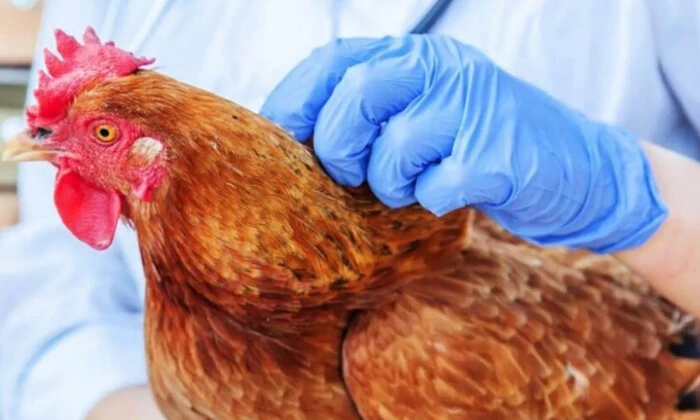 Французькі вчені діляться результатами дослідження