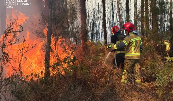 Ukrainian rescuers saved village in France