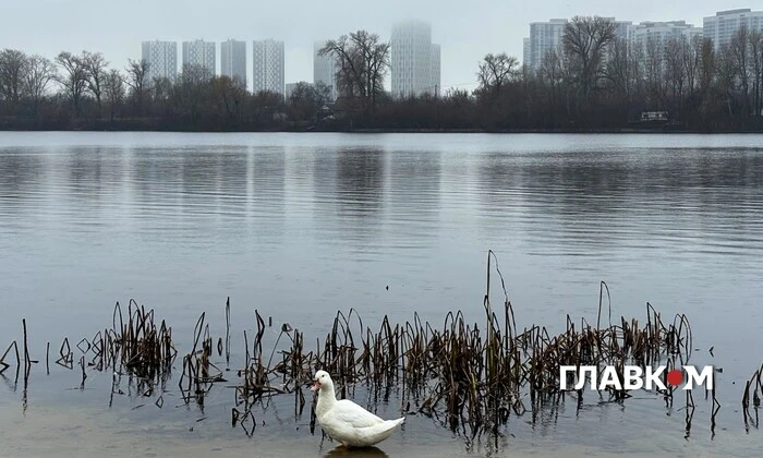 Хмарно з проясненнями в Україні
