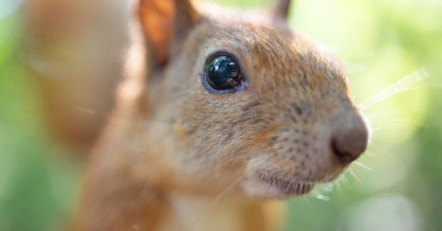 Синоптики попереджають про грози та спеку