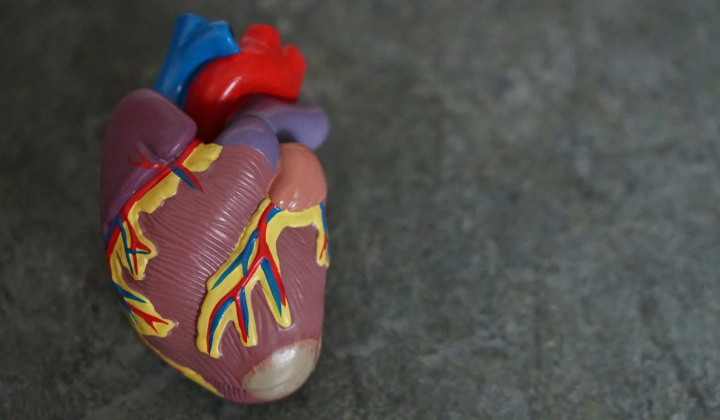 First heart valve for children