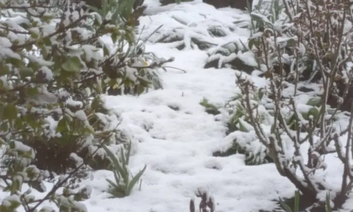 Снежная панорама Одессы и области