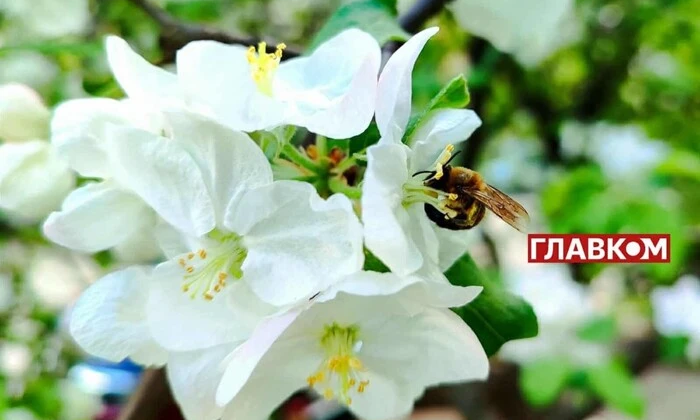 Прогноз погоди на 6 травня