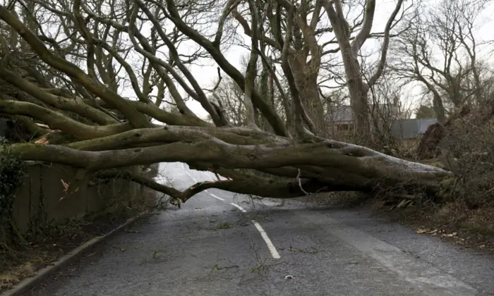 Ирландия и Шотландия подверглись воздушным ливням