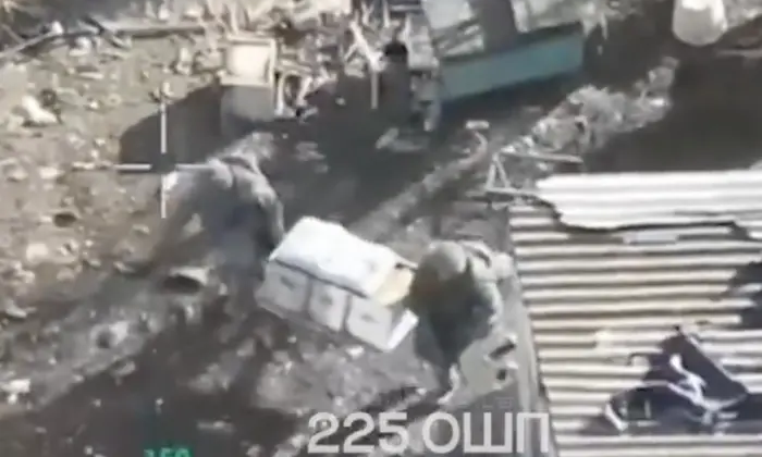 На военных учениях применялись пчелы