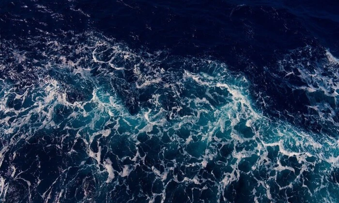 Затемнений світовий океан: вчені побоюються