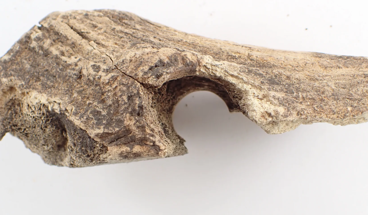 Rare bronze age axes made from deer antlers