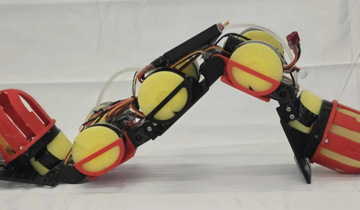 Amphibious robot WorMa in motion