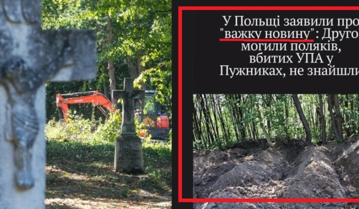 Polish searches in Volynia
