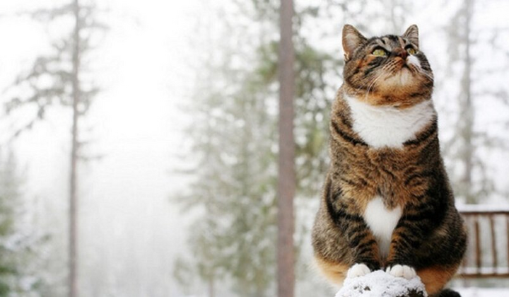 Снег и гололедица на украинских дорогах